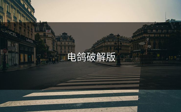 电鸽破解版 电鸽破解版