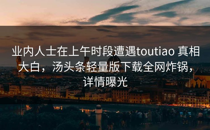 业内人士在上午时段遭遇toutiao 真相大白，汤头条轻量版下载全网炸锅，详情曝光